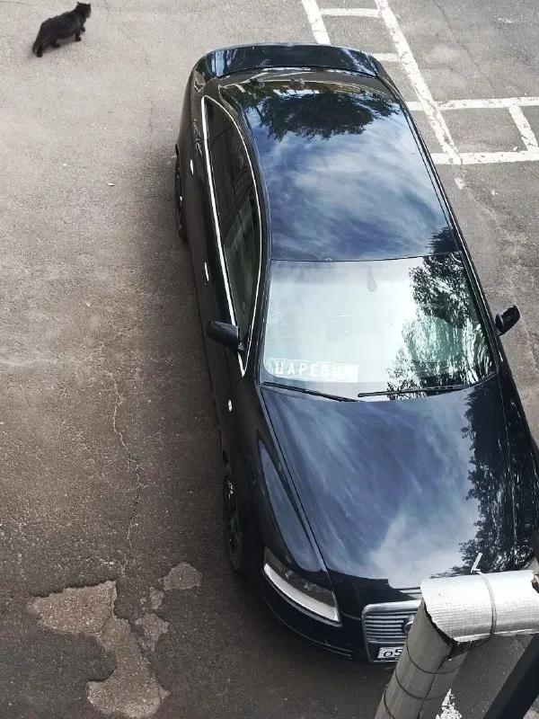 Audi а6 с6 2006г. цена - 700.000р телефон - +79895364178 г. донецк по машине: мотор, коробка, ходовая не требуют вложений, кузов нужно делать. резина зима/лето я собственник, с 2023г. 📲 tg: ❌буль терьеров❌ 📞 звоните: +7(989)5364178 - фотография - 2