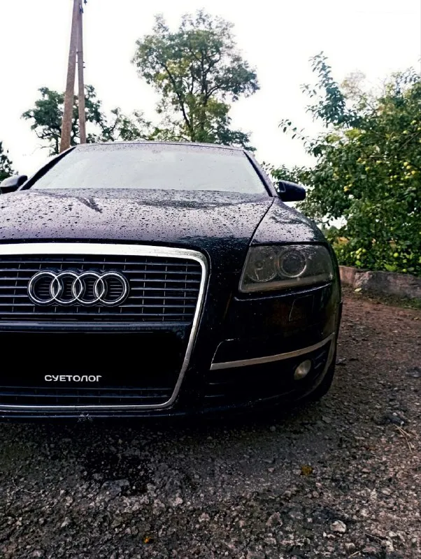 Audi а6 с6 2006г. цена - 700.000р телефон - +79895364178 г. донецк по машине: мотор, коробка, ходовая не требуют вложений, кузов нужно делать. резина зима/лето я собственник, с 2023г. 📲 tg: ❌буль терьеров❌ 📞 звоните: +7(989)5364178 - фотография - 3