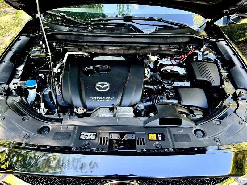 Mazda cx5 2019год двигатель 2.5 skyactive бензин (самый надежный)! родной пробег 63.000 км коробка передач :автомат (обычный aisin)гидротрансформатор! автомобиль в отличном состоянии, двигатель работает отлично, ходовая в отличном состоянии, коробка переключает без пинков, кузов целый без ржавчины и гнили. новая резина летняя 19 колеса, эл зеркала с подогревом, обогрев переднего и заднего стекла, помощь при спуске, круиз, климат, датчики света и дождя, кожаный салон + алькантара, сабвуфер, комплект зимних ковриков и еще много чего. машина полностью обслужена от а и до я !также нанесено керамическое покрытие!!!машина смотрится отлично !расход по городу 10-11литров, едет очень шустро !цвет черный жемчуг!цена 1000000₽ +7949-559-52-87 также возможен обмен! 📞 звоните: +7(949)5595287 - фотография - 5