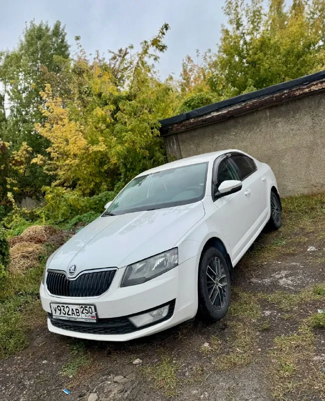 Skoda octavia а7 1.2 tsi, автомат, 2013 г. в ✅ двигатель 4х цилиндровый, на 105 сил, не путайте с 3х цилиндрами‼️ автомобиль в отличоном состоянии, двигатель 1.2 tsi обслужен от а до я, коробка автомат dsg листает как положено без пинков и толчков!) родной пробег 227 000 км, комплектация: заводская система старт/стоп, задние парктроники, кондиционер (заправлен и дует как положено) подогревы сидений, туманки, датчик света и дождя, электро зеркала с подогревом, полный эл. стекло пакет, 2 ключа, легкосплавные диски на летней резине, авто останетесь довольны ! птс оригинал 🔥 стоимость авто: ✅ 770 000 рублей ✅ машина в макеевке: +79495570537 либо +79490780102 + телеграмм 📞 звоните: +7(949)5570537 - фотография - 2