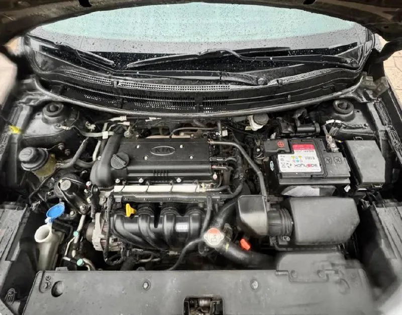 Kia rio iii 💰цена: 950 000р 🏢город: мариуполь 📅год выпуска: 2014 🧾пробег: 98 500км. ⚙️двигатель: 1.6 ⛽топливо: бензин ⚙️кпп: автомат 📞 телефон: +7-989-263-55-56 +7-949-727-41-51 +7-949-551-91-52 💾 описание: rio - зарекомендовал себя на российском рынке как универсальный, практичный и надежный автомобиль для тех, ком. .. style="background-image:url('//telegram. org/img/emoji/40/e29c85.png')">✅ кузов без коррозии, в заводской краске (пара косметических окрасов) ✅ вся оптика и стекла включая лобовое заводские ✅ оригинальный пробег ✅ салон в отличном состоянии ✅ техническая часть на 5+ ✅ произведен детейлинг лакокрасочного покрытия с нанесением керамического состава. ✅ атермальная тонировка передних стекл. шикарная комплектация: кондиционер ❄️ (работает отлично), подогрев передних сидений и руля, мультируль, abs, airbag, гидроусилитель руля, электростеклоподьемники, литые диски на новой летней резине, сигнализация с автозапуском, магнитола android с bluetooth. улица шевченко 269 - фотография - 7