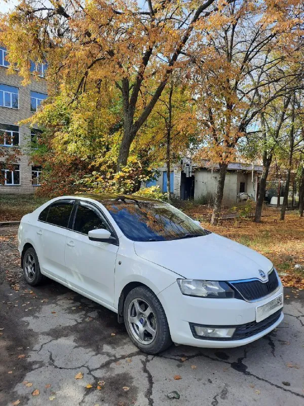 Продам skoda рапид 2014г, пробег 215т. по тех. части машина без вложений, расскажу что менялось. цен... - фотография