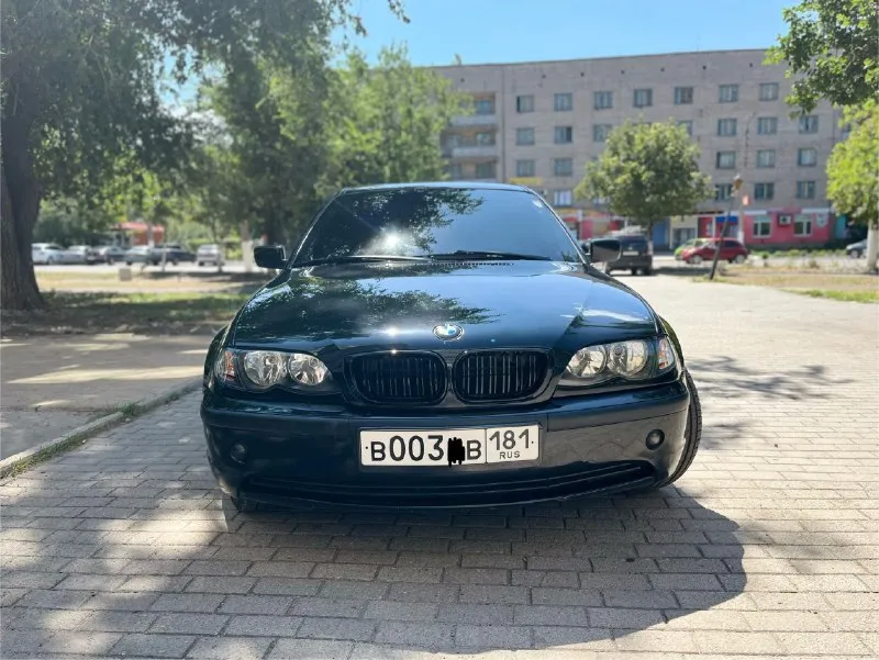 Продаю bmw 3 серии e46 по-настощему в редком для наших дней состоянии. машина вся в родном окраске, не битая, кузов покрыт керамикой в два слоя. 2 ключа. пробег — 126 000 км. 1.8, механика. зимой не эксплуатируется. комплектация: люк, климат-контроль, полный электропакет, электрозеркала с подогревом, оригинальные литые диски bmw 68 стиль, родные стёкла по кругу. машина в стоке, всё в оригинале. я собственник более 3 лет. цена: 780 000 руб. (торг у капота) в таком состоянии — найти сложно, с продажей не спешу, так как это не основной автомобиль. продажа с номером обсуждается. все вопросы по телефону +79595671996 📞 звоните: +7(959)5671996 - фотография - 7