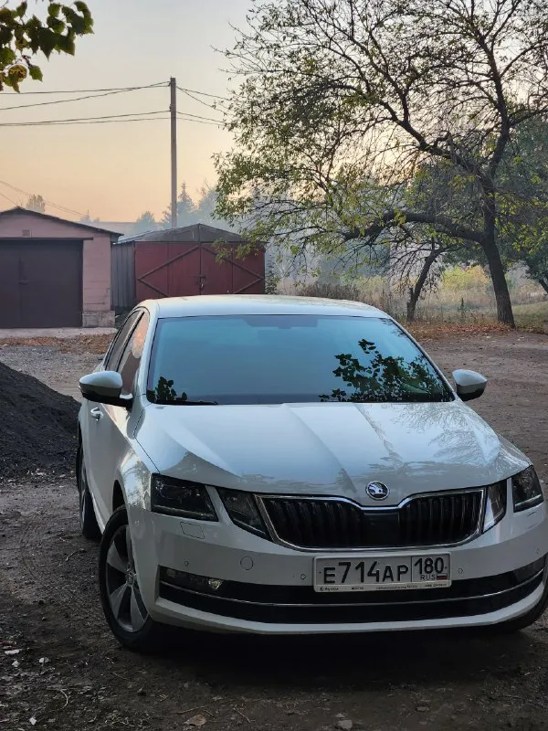 Продам официальный skoda octavia a7 fl, 2020 г. в., 1.4 tsi(150 л. с./250 нм), 7 ркпп. 130ткм пробег, обслужена (на 120 замена грм(contitech), на 125 замена сцепления и маховика+ масло в кпп), ухоженная, в идельном состоянии, родной краске. новый акум inci aku. ничего не крутилось, не разбиралось, не снималось. масло каждые 7.5 тыс, свечи каждые 30 тыс. гаражное хранение. 2 комплекта новой резины nokian, 2 комплекта оригинальных ковров. электронный птс автотека зеленая. экономичный (трасса 5л, город 7,4л), резвый(разгон 8сек). -led головной свет с автокоррекцией, омыватели фар, атмосферная подсветка салона. -led приборка(4 стиля с возможностью настройки), мультируль. - головное устройство с carplay/android авто(навигация и музыка на экране). -датчик света, дождя, мертвых зон. -обогревы: руль, сиденья, лобовое. - камера с омывателем и динамической траэкторией -парктроники: перед, зад+ экстренное торможение. - розетка 220. - круиз контроль. - автозатемнение, автоскладывание 📞 звоните: +7(949)3704018 - фотография - 5