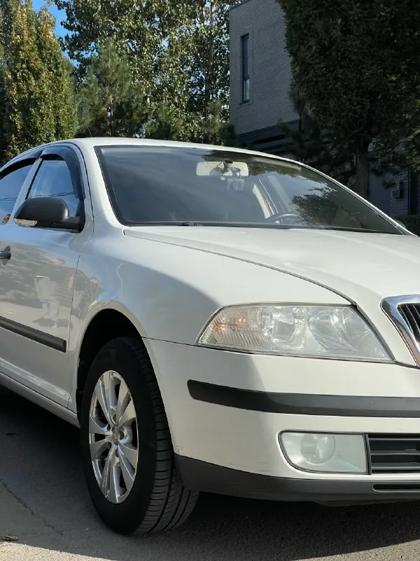 ☘️ skoda octavia 1.6 fsi 2007 механика цена: 660 тысяч рублей (торг) номер: +79494771813 / +79897136521 (телеграм/вотсап) город: макеевка продается skoda октавия а5 1.6 fsi на механической коробке передач. хозяйская, была все время в одной семье, фактически один владелец. ездила исключительно по краснодару, поэтому днище с порогоми сохранились максимально хорошо. состояние близко к идеалу, имеются жизненные скольчики и небольшая вмятина на капоте, но это мелочи на фоне общего состояния авто. родной окрас, машина без дтп. по технической части вопросов нет, все работает и едет как надо. двигатель не шумит, не троит, тянет машину хорошо. все передачи работают. печка жарит, кондиционер холодит. по электрике вопросов так же нет, все работает, музыка играет хорошо. была замена обшивки потолка, старая провисла, частая проблема старых вагов. поставил кожаный руль заместо пластикового, сделал хим чистку сидений, салон выглядит отлично, очень чистый и аккуратный. резина летняя пер 📞 звоните: +7(949)4771813 - фотография - 9