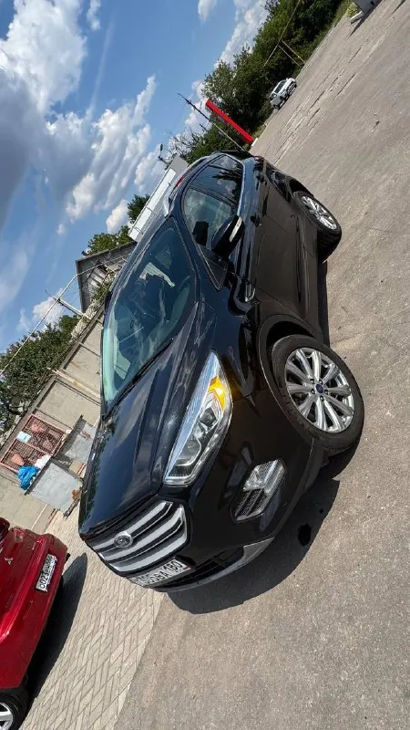 Продаем семейный автомобиль ford escape(kuga) 2018г. 2.0 (245л) 4wd первые и единственные владельцы по рф, машина в достойном состояние и не требует вложений, обслуживаю всегда вовремя. двигатель очень приятный, на мой взгляд лучший в линейке, едет более чем как для паркетника, динамика и управление восхищает. по кузову без намека на рыжики. салон не затертый. полная комплектация, есть все для комфортной езды :климат, круиз контроль, параллельная парковка, помощь парковки, память сидений, подогрев рулят сидений, дистанционный запуск, carplay, хорошая акустика, люк и панорамная крыша, большой багажник(задние сидения ложатся вровень, можно двоем за ночевать ), датчик открывания багажника ногой, датчик дождя и света и многое другое. если что то забыл, спрашивайте ! 1 970 000 макеевка +79493411741 📲 tg: @blyoskinaanya 📞 звоните: +7(949)3411741 - фотография - 5