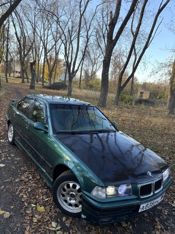 Продам bmw 316i (e36) 🔥 год выпуска:1993🔥 пробег, км:111.111 🔥 модификация:1.6 mт 🔥 тип двигателя:бензин🔥 коробка передач :механика 🔥 привод:задний тип кузова : легковой седан🔥 koмплeктaция: comfort🔥 цвет: зеленый 🔥 документы-постоянный днр учет. (переоформляемая) в продаже легенда bmw e36 на полном ходу, в боевом состоянии, готова к зимнему сезону. двигатель после капититалки, работает идеально, не троит, не дымит, заводится с пол оборота. кпп(5 ступка)-всё в рабочем состоянии, все передачи включаются, без хрустов, ничего не выбивает. ходовая в порядке, единственное-задние стойки под замену. свет, люк, стеклоподьемники, печка всё в рабочем состоянии. в подарок полный багажник запчастей. так же имеется видео, по просьбе отправлю для более лучшего осмотра авто. цена:129.999 тысяч звонить в любое удобное время по номеру : +79495752024 ( если недоступен, telegram, whatsapp на этот номер 🤝) возможен пригон по договоренности. возможен обмен. - фотография - 10