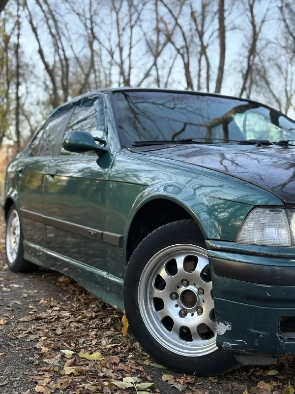 Продам bmw 316i (e36) 🔥 год выпуска:1993🔥 пробег, км:111.111 🔥 модификация:1.6 mт 🔥 тип двигателя:бензин🔥 коробка передач :механика 🔥 привод:задний тип кузова : легковой седан🔥 koмплeктaция: comfort🔥 цвет: зеленый 🔥 документы-постоянный днр учет. (переоформляемая) в продаже легенда bmw e36 на полном ходу, в боевом состоянии, готова к зимнему сезону. двигатель после капититалки, работает идеально, не троит, не дымит, заводится с пол оборота. кпп(5 ступка)-всё в рабочем состоянии, все передачи включаются, без хрустов, ничего не выбивает. ходовая в порядке, единственное-задние стойки под замену. свет, люк, стеклоподьемники, печка всё в рабочем состоянии. в подарок полный багажник запчастей. так же имеется видео, по просьбе отправлю для более лучшего осмотра авто. цена:129.999 тысяч звонить в любое удобное время по номеру : +79495752024 ( если недоступен, telegram, whatsapp на этот номер 🤝) возможен пригон по договоренности. возможен обмен. - фотография - 3