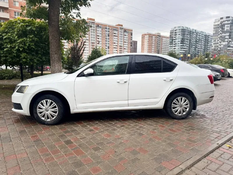 Skoda октавия а 7 2018 год, в отличном состоянии, мотор и коробка без нареканий, двигатель 1,6 автомат! не робот. машина была в такси пробег на щитке 66т. км по факту больше, на сколько больше не знаю. машина не уставшая на полном ходу цена подарок 830000! через пару дней буду в днр xw8an2ne5jh020287 89996366121 📲 tg: oleg 📞 звоните: +7(999)6366121 - фотография - 8