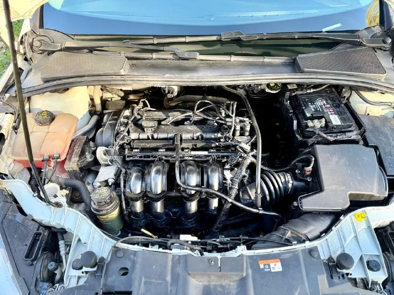 ⚪️ ford focus 3 rest 💰цена: 990 000р 🏢город: мариуполь 📅год выпуска: 2018 🧾пробег: 159 227 км. ⚙️двигатель: 1.6 ⛽топливо: бензин ⚙️кпп: механика 📞 телефон: +7-989-263-55-56 +7-949-727-41-51 +7-949-713-18-14 💾 описание: ford focus 3 restyling- это практичный автомобиль, который сочетает в себе надёжность и функциональность. универсал с надёжной механической коробкой передач и цепным двигателем объемом 1.6 который обеспечивает хорошую динамику и экономичность. ✔️ кузов без коррозии и дефектов ✔️ оригинальный пробег ✔️ огромный багажник комплектация 👍: кондиционер ❄️ (работает отлично), android магнитола с камерой заднего вида, abs, airbag, электропакет, гидроусилитель руля, мультируль, центральный замок. улица шевченко 269 🏦 возможна продажа в кредит по двум документам. - фотография - 7