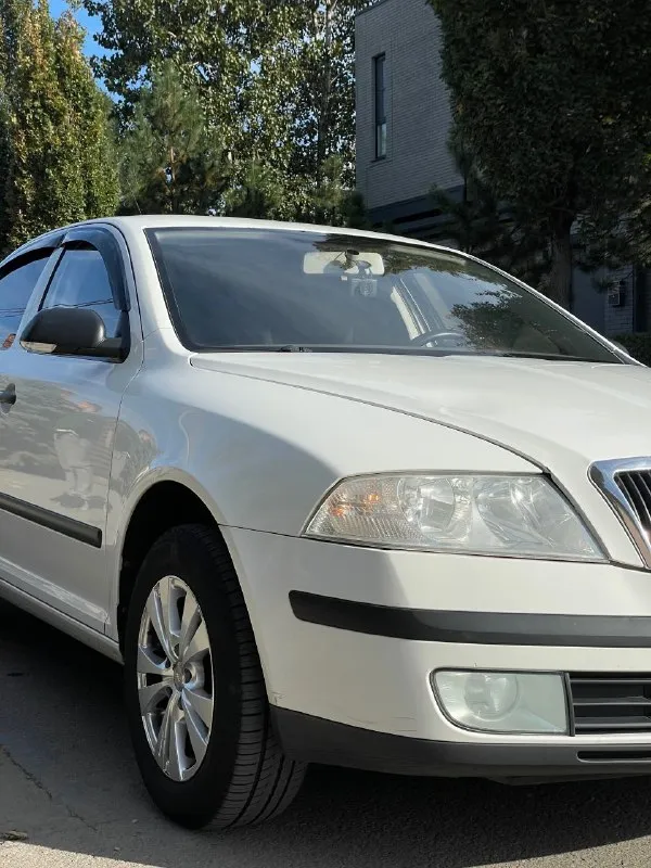 Skoda octavia 1.6 fsi 2007 механика цена: 650 тысяч рублей (торг) номер: +79494771813 продается шкода октавия а5 1.6 fsi на механической коробке передач. хозяйская, была все время в одной семье, фактически один владелец. ездила исключительно по краснодару, поэтому днище с порогоми сохранились максимально хорошо. состояние близко к идеалу, имеются жизненные скольчики и небольшая вмятина на капоте, но это мелочи на фоне общего состояния авто. родной окрас, машина без дтп. по технической части вопросов нет, все работает и едет как надо. двигатель не шумит, не троит, тянет машину хорошо. все передачи работают. печка жарит, кондиционер холодит. по электрике вопросов так же нет, все работает, музыка играет хорошо. была замена обшивки потолка, старая провисла, частая проблема старых вагов. поставил кожаный руль заместо пластикового, сделал хим чистку сидений, салон выглядит отлично, очень чистый и аккуратный. резина летняя перели 23 года на прикольных 15-ых дисках. - фотография - 7