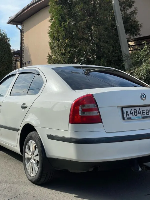 Skoda octavia 1.6 fsi 2007 механика цена: 650 тысяч рублей (торг) номер: +79494771813 продается шкода октавия а5 1.6 fsi на механической коробке передач. хозяйская, была все время в одной семье, фактически один владелец. ездила исключительно по краснодару, поэтому днище с порогоми сохранились максимально хорошо. состояние близко к идеалу, имеются жизненные скольчики и небольшая вмятина на капоте, но это мелочи на фоне общего состояния авто. родной окрас, машина без дтп. по технической части вопросов нет, все работает и едет как надо. двигатель не шумит, не троит, тянет машину хорошо. все передачи работают. печка жарит, кондиционер холодит. по электрике вопросов так же нет, все работает, музыка играет хорошо. была замена обшивки потолка, старая провисла, частая проблема старых вагов. поставил кожаный руль заместо пластикового, сделал хим чистку сидений, салон выглядит отлично, очень чистый и аккуратный. резина летняя перели 23 года на прикольных 15-ых дисках. - фотография - 9