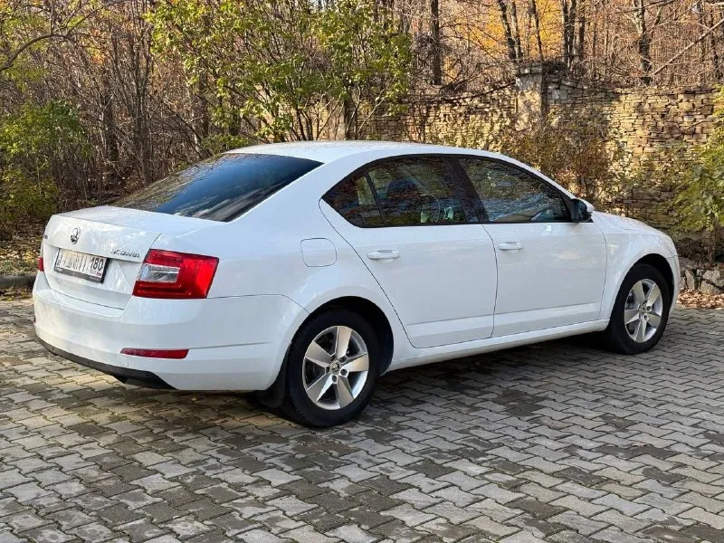 Продам skoda octavia a7 2016года, в хорошем состоянии. •224.000 тысяч пробега. в такси не была! •хорошая комплектация hockey edition •мотор 1.4т, полностью обслужен, едет бодро, на все свои 150сил. коробка автомат, работает отлично. все жидкости, фильтра заменены, тормозные колодки, свечи. •работает каждая кнопочка и лампочка. расход 8л город, 5-6л трасса. датчик света и дождя, круиз-контроль, боковые электрозеркала с обогревом. ассистент подъема в гору, парктроники спереди и сзади, охлаждающий перчаточный ящик. оригинальные литые r16диски, на хорошей летней резине michelin. салон в хорошем состоянии, не затерт, не порват. автомобиль в достойном состоянии, нет не рыжиков, не вмятин, в живую выглядит еще лучше! вся безопасность на месте. штатная сигнализация с центральным замком. документы в полном порядке, я хозяин по документам машина находится в г. донецке, осмотр в любое время дня и ночи. 💵1.230.000 рублей, торг присутсвуется. 📞+79494232412 - фотография - 5