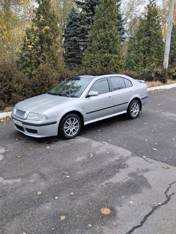 Skoda 2008 г. 1.8. пробег 280 тыс. машина обслуж. недавно прошло большое т. о. поменял стойки, блины... - фотография