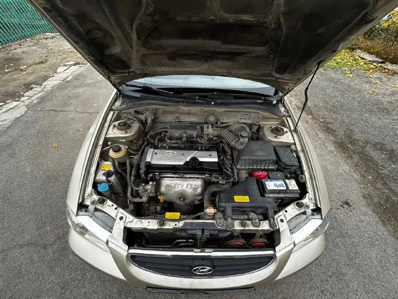 В продаже hyundai accent: - цена 465.000 рублей торг; - 2006 года выпуска; - родной пробег 212000 километров; - 1 хозяин (19 лет во владении); - весь в родном окрасе; - 5-ступенчатая мкпп; - 1.5 16 клапанный двигатель g4ec; комплектация мт1: — гур; — кондиционер; — обогрев заднего стекла; по машине есть не значительные моменты по лкп, это вздутия и рыжики на задних арках, без дыр! не большие царапины по бамперам, не критично, трещинка на лобовом стекле. стекла в круг родные кроме лобового, авто без, дтп родной окрас, по двигателю и коробке никаких нареканий нет, не дымит, не троит, не стучит, полностью обслужен и готов к эксплуатации. кондиционер заправлен, холодит, все функции авто рабочие. ходовая и днище в отличнейшем состоянии, по технике в идеальном состоянии. 🙎🏻‍♂️ @daparts180 📞 +79497427681 данил 📞 звоните: +7(949)7427681 - фотография - 9