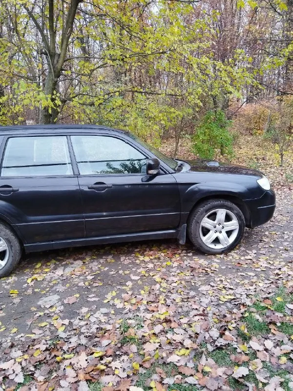 Продам subaru forester 2005г рестайлинг, коробка автомат. оригинальный пробег: 260 тыс. км. полный привод. 2,5 литровый-турбо бензин, масло не берёт. автоматическая кпп. комплектация: панорамная крыша, круиз-контроль, климат-контроль, сигнализация с обратной связью, электропривод зеркал с обогревом, мультируль, гидроусилитель руля, омыватель передних фар, музыка с аудиосистемой кожаный салон и многое другое! отдам с машиной комплект зимней резины! заменено масло в коробке и мостах. продажа от собственника без штрафов и арестов. цена 850 000 руб. по всем вопросам обращаться по телефону +7(949)331-51-17 📞 звоните: +7(949)3315117 - фотография - 4