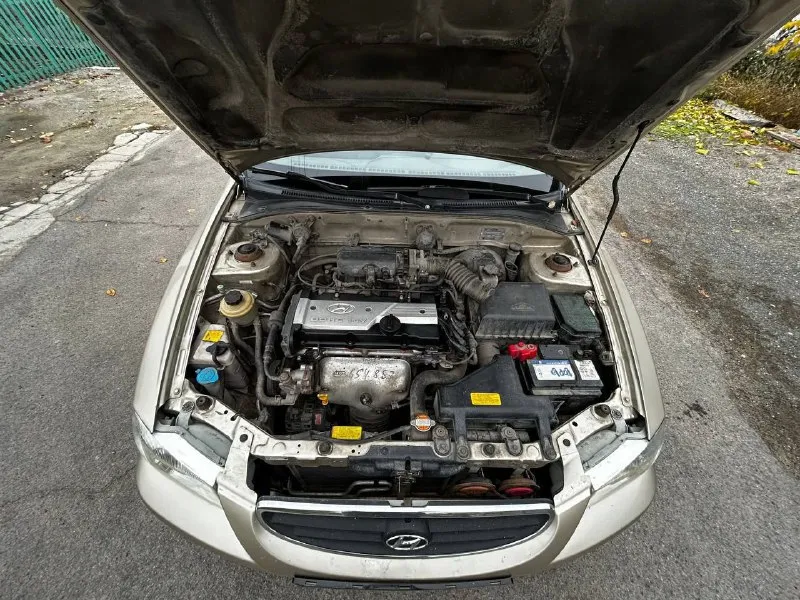 В продаже hyundai accent: - цена 465.000 рублей торг; - 2006 года выпуска; - родной пробег 212000 километров; - 1 хозяин (19 лет во владении); - весь в родном окрасе; - 5-ступенчатая мкпп; - 1.5 16 клапанный двигатель g4ec; комплектация мт1: — гур; — кондиционер; — обогрев заднего стекла; по машине есть не значительные моменты по лкп, это вздутия и рыжики на задних арках, без дыр! не большие царапины по бамперам, не критично, трещинка на лобовом стекле. стекла в круг родные кроме лобового, авто без, дтп родной окрас, по двигателю и коробке никаких нареканий нет, не дымит, не троит, не стучит, полностью обслужен и готов к эксплуатации. кондиционер заправлен, холодит, все функции авто рабочие. ходовая и днище в отличнейшем состоянии, по технике в идеальном состоянии. автотека. 🙎🏻‍♂️ @daparts180 📞 +79497427681 данил - фотография - 5