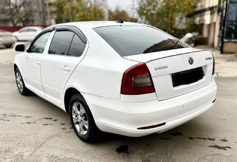🔥🔥🔥💣🔥🔥🔥 *цена 650тыс. руб. * срочно такая низкая цена только сегодня. skoda octavia a5 рейсталинг 2012г. 1.6 mpi механика. родной пробег 250тыс. км. 2хозяина. авто в хорошем состоянии вложений не требует не каких. кузов без гнили и ржавчины выглядит красиво как на фото так и в живую. работают отлично не дымит не троит тянет хорошо. самый лучший и надежный мотор в линейке. ходовая без посторонних звуков все в полном порядке. коробка отлично работает. масла фильтра только поменял. салон чистый. богатая комплектация. кондиционер, гур, датчики света и дождя, подогрев сидений и зеркал,4эл. стеклоподьмника, эл. зеркала, подушки безопасности, парк-троик. установлена магнитола на android системе. литые диски. лед фары в ближнем и туманках, тонеровка. в серьезных дтп не была. документы в полном порядке.2собственика, птс оригинал, любое переоформление хоть по дкп хоть через мрео. осмотр донецк +79497946634 +79895340753 телег. 📲 tg: vvv 📞 звоните: +7(949)7946634 - фотография - 4