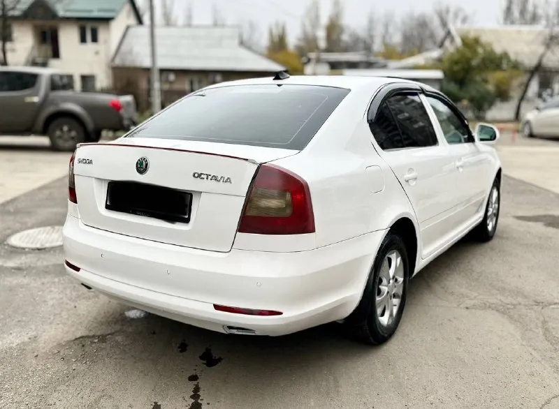 🔥🔥🔥💣🔥🔥🔥 *цена 650тыс. руб. * срочно такая низкая цена только сегодня. skoda octavia a5 рейсталинг 2012г. 1.6 mpi механика. родной пробег 250тыс. км. 2хозяина. авто в хорошем состоянии вложений не требует не каких. кузов без гнили и ржавчины выглядит красиво как на фото так и в живую. работают отлично не дымит не троит тянет хорошо. самый лучший и надежный мотор в линейке. ходовая без посторонних звуков все в полном порядке. коробка отлично работает. масла фильтра только поменял. салон чистый. богатая комплектация. кондиционер, гур, датчики света и дождя, подогрев сидений и зеркал,4эл. стеклоподьмника, эл. зеркала, подушки безопасности, парк-троик. установлена магнитола на android системе. литые диски. лед фары в ближнем и туманках, тонеровка. в серьезных дтп не была. документы в полном порядке.2собственика, птс оригинал, любое переоформление хоть по дкп хоть через мрео. осмотр донецк +79497946634 +79895340753 телег. 📲 tg: vvv 📞 звоните: +7(949)7946634 - фотография - 5