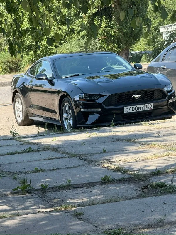 🚗 продам ford мустанг год: 2018 тип кпп: автоматическая пробег: 28000 км дополнительная информация: продается красавчик! машина для мажоров и эгоистов. продам ford мустанг 2018 года выпуска. объём двигателя 2.3t литров. машина в хорошем состоянии технически полностью исправна, вложений никаких не требует. пригнан из сша, 2 хозяин в днр. на рф учёт станет без проблем на нового хозяина. цена 2🍋900.000 рублей машина стоит своих денег днр харцызск - донецк номер телефона +7(949)3248615 телеграмм +79993894175 📞 звоните: +7(949)3248615 - фотография - 2