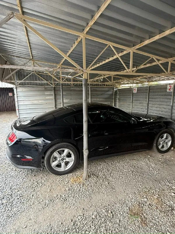 🚗 продам ford мустанг год: 2018 тип кпп: автоматическая пробег: 28000 км дополнительная информация: продается красавчик! машина для мажоров и эгоистов. продам ford мустанг 2018 года выпуска. объём двигателя 2.3t литров. машина в хорошем состоянии технически полностью исправна, вложений никаких не требует. пригнан из сша, 2 хозяин в днр. на рф учёт станет без проблем на нового хозяина. цена 2🍋900.000 рублей машина стоит своих денег днр харцызск - донецк номер телефона +7(949)3248615 телеграмм +79993894175 📞 звоните: +7(949)3248615 - фотография - 3