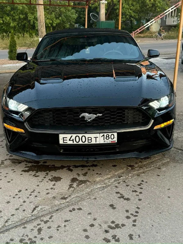 🚗 продам ford мустанг год: 2018 тип кпп: автоматическая пробег: 28000 км дополнительная информация: продается красавчик! машина для мажоров и эгоистов. продам ford мустанг 2018 года выпуска. объём двигателя 2.3t литров. машина в хорошем состоянии технически полностью исправна, вложений никаких не требует. пригнан из сша, 2 хозяин в днр. на рф учёт станет без проблем на нового хозяина. цена 2🍋900.000 рублей машина стоит своих денег днр харцызск - донецк номер телефона +7(949)3248615 телеграмм +79993894175 📞 звоните: +7(949)3248615 - фотография - 4