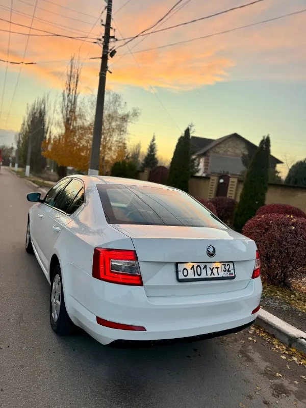 Продам skoda oktavia a7 2015г 1.6 на автомате) двигатель 1.6 mpi 110 л. с масло не жрет, коробка автомат надежный японский aisin, работает идеально, ходовка сбитая, очень мягкая, стойки и колодки новые, комплектация: заводская магнитола с бортовым компьютером, гидроусилитель руля, кондиционер, asr, abs, стабилизация, эл. зеркала с подогревом, хорошая зимняя резина, новый аккумулятор, авто приятное в ходу! цена отличная 🎁 850 000 рублей 🎁 документы чистые, переоформление без проблем. находится в макеевке звоните +79485570537 📞 звоните: +7(948)5570537 - фотография - 3