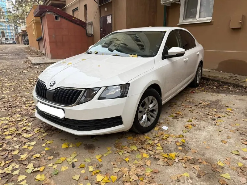 Skoda octavia a7 лифтбек, 2017 г. в. сборка чехия. двигатель 1.6 tdi, один из самых надёжных двигате... - фотография