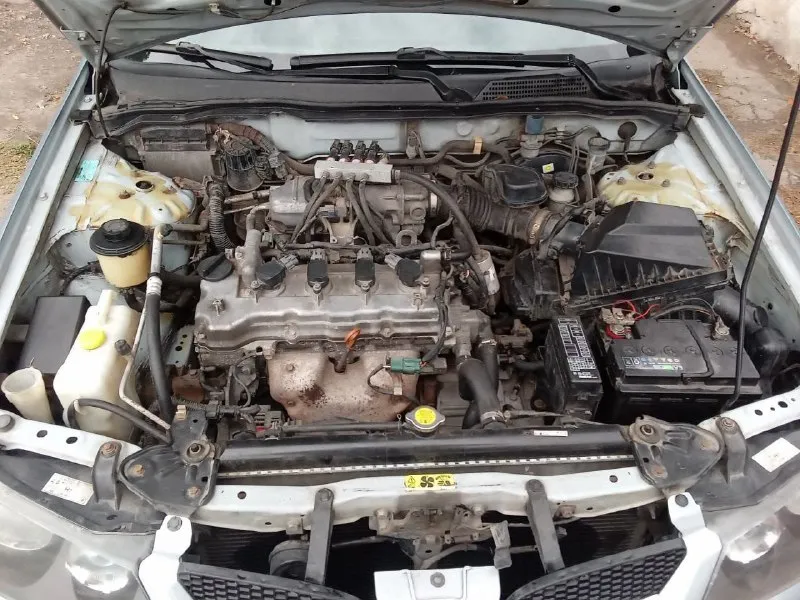 Продам almera 2005 г. в газ/ бензин. в отличном состоянии 195 тыс оригинального пробега. автомобиль местный, в пред максимальной комплектации, в машине ржавчины нет нигде, кузов оцинкованный, салон в хорошем состоянии. мотор 1.5 работает хорошо, мкпп 5 ступенчатая работает без нареканий, климат контроль работает хорошо, подогревы сидений, автомобиль полностью обслужен и во вложениях не нуждается. 455.000₽. осмотр в горловке. +7949-3026998 📞 звоните: +7(949)3026998 - фотография - 6