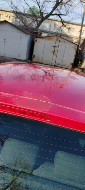 Peugeot 206 год выпуска: 2004 пробег: 135000 кпп: механика, 5 объем и тип двигателя: 1.1, бензин цена: 360000 (торг у капота реальному покупателю) город: донецк, ворошиловский р-н телефон для связи: +79493313593 борис (с 9.00 до 19.00) взята с салона новой, 1 владелец по птс, пробег городской, не скручен. вместе с машиной идет комплект документов о техобслуживании с момента покупки, два комплекта свежей резины на дисках (bridgestone лето на легкосплавных, hankook зима на штамповке). мкп 5 работает идеально, не вылетает. машина обслуживается регулярно. есть мелкие недочеты по кузову (видно на фото). на полном ходу, используется ежедневно. салон чистый, аккуратный. 📲 tg: @m43s1r0 📞 звоните: +7(949)3313593 - фотография - 9