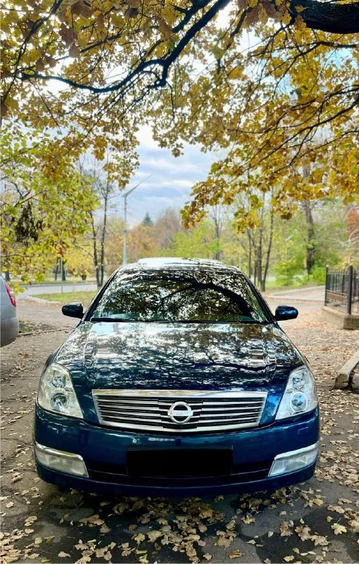 Nissan teаnа j31 японской сборки рестайлинг 2007г. 2.4 полноценный автомат чиcтaя иcтopия! машина в... - фотография