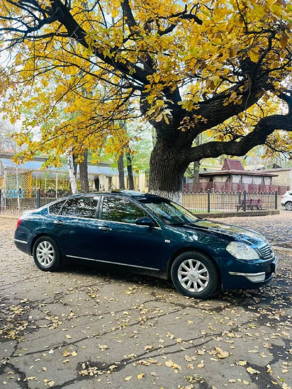 Nissan teаnа j31 японской сборки рестайлинг 2007г. 2.4 полноценный автомат чиcтaя иcтopия! машина в очень достойном состоянии было вложено не мало времени и средств. поменяли много чего а именно: -полностью поменяна подвеска. дорогу держит отлично, не гремит, посторонних шумов нет! -полностью поменян и доработан свет автомобиля (цена 38 000 тыс. ) светло как днём! дальний свет даже не включаю мотор чувствует себя отлично все расходники менялись вовремя (замена масла каждые 6000км). ни ест ни грамма! автомат так же чувствует себя отлично передачи переключает плавно без пинков. электропривод сидений, память сидений, климат двухзонный, бесключевой доступ, камера заднего вида, два комплекта ключей по кузову машинка без гнили от слова совсем. без шпаклёвки! без дтп лобовое без трещин комплектация premium! с люком не течет работает исправно! самая полная комплектация для этого мотора ! документы чистые, проверки на сто приветствую состояние машины сел поехал цена 690.000 торг +79493815086 - фотография - 5