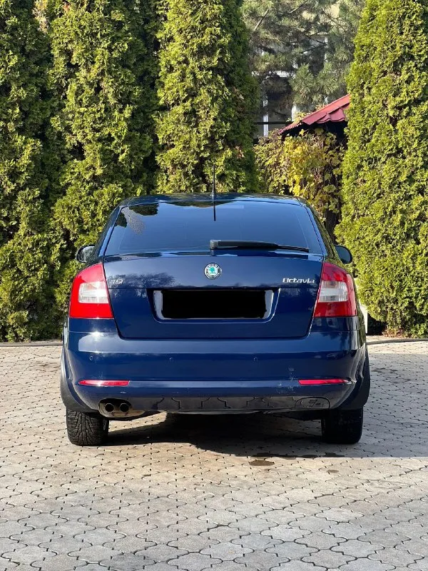 Шкода октавия а5 skoda octavia a5 🗓️ год выпуска: 2011г. 🛣️ пробег: 199.000 км родной 🕹️ мотор и кпп: 1.8 tsi в связке с 7-ми ступенчатой мокрой dsg !!! мотор работает без нареканий, динамика отличная, расход приятный, не дымит не троит ошибок не имеет ! замена масла каждые 6тыс, замена цепи была на 180.000!!! коробка в отличном состоянии, не пинает не затягивает по кузову есть жизненные коцки ( не критично ) лкп освежалось без шпаклевки по ходовой вопросов нет 🛠️ комплектация максимальная elegance: эгур, абс, ebd, дхо, бортовой компьютер, система курсовой устойчивости, датчик света и дождя, адаптивный свет, круиз контроль, мультируль, 2х зонный климат контроль, подогрев всех 4х сидений, полный электропакет, парктроники, электро зеркала с подогревом, 6 подушек безопасности ! легкосплавные диски r16 аудиосистема bolero на 8 динамиков 2 комплекта колес 2 комплекта ключей сервисные книги 💰 цена: 889 руб. торг 🏙️ город: донецк +79495592702 - фотография - 6