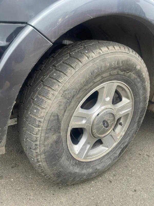 Продам ford expedition второго поколения, 2004 года. 5.4 газ / бензин. коробка -автомат. работает исправно как на газу, так и на бензине. полный привод работает. хорошая зимняя шипованная резина на родных дисках. с машиной отдам комплект - 5 дисков ( что на последнем фото ) без резины. пробег: 232000 км. салон в хорошем состоянии, 3 ряда сидений. продажа только с переоформлением. цена: 1 500 000 (торг уместен). находится в донецке, подробные вопросы по телефону +79493637308. 📞 звоните: +7(949)3637308 - фотография - 9