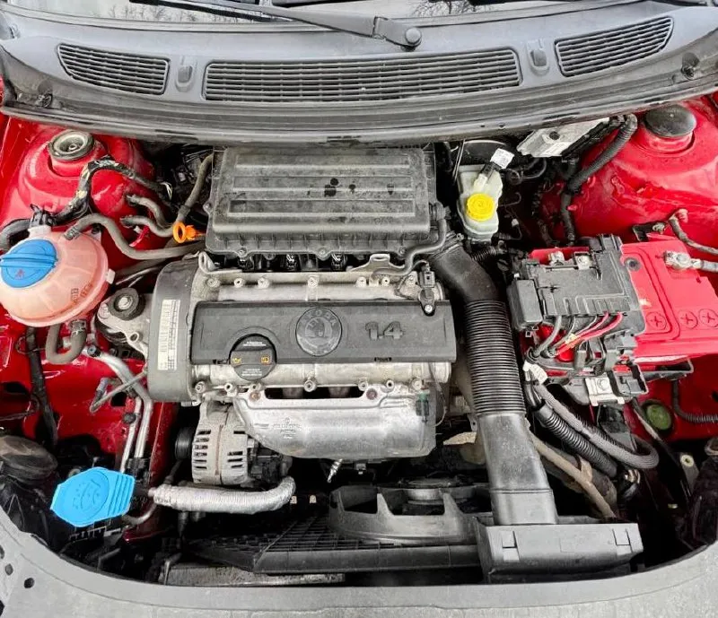 🌹skoda fabia 1.4 💰цена: 670 000р 🏢город: мариуполь 📅год выпуска: 2010 🧾пробег: 204 885км. ⚙️двигатель: 1.4 ⛽топливо: бензин ⚙️кпп: механика 📞 телефон: +7-949-727-41-51 +7-989-263-55-56 +7-949-551-91-52 💾 описание: fabia идеальный выбор для тех, кто ищет надёжный и практичный автомобиль. этот хетчбек отличается элегантным дизайном и просторным салоном. ✅ 1 владелец, южная эксплуатация. ✅ отличное состояние кузова, без коррозии, весь в родной краске 💯% ✅ хорошее состояние как внешне так и технически. комплектация 👍 : кондиционер, гур, abs, центральный замок, подогрев сидений, новая летняя резина pirelli, электропакет, два ключа. улица шевченко 269 - фотография - 7