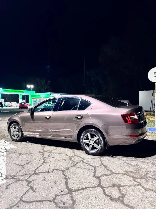 В продаже автомобиль skoda octavia a7,год выпуска 2013,пробег 180.000км родной!, авто в идеальном без дтп! в достойном состоянии как внешне так и технически, состояние автомобиля как новая. не битая!все стёкла родные, лобовое стекло без трещин!с двумя хозяевами. присутствуют все номера кузова и двигателя, читаются отлично. нету штрафов и запретов. машина полностью обслужена. резина вся новая, запасное колесо, домкрат, балонник оригинальные не разу не использовались!комплектация максимально богатая: двухзонный климат-контроль+кондиционер, сигнализация, парктроник задний, центральные замки на все двери, электростеклоподъёмники с доводчиками, подогревы передние сидения-электро зеркала с подогревом, заводские противотуманки, abs, регулировка руля и передних сидений, и так далее и очень много остального! очень хорошая аудио система) самый надёжный двигатель1.4 на механике! расходует не капли масло от замены до замены! цена 1.200.000 📞 звоните:+7(949)5639877 - фотография - 5