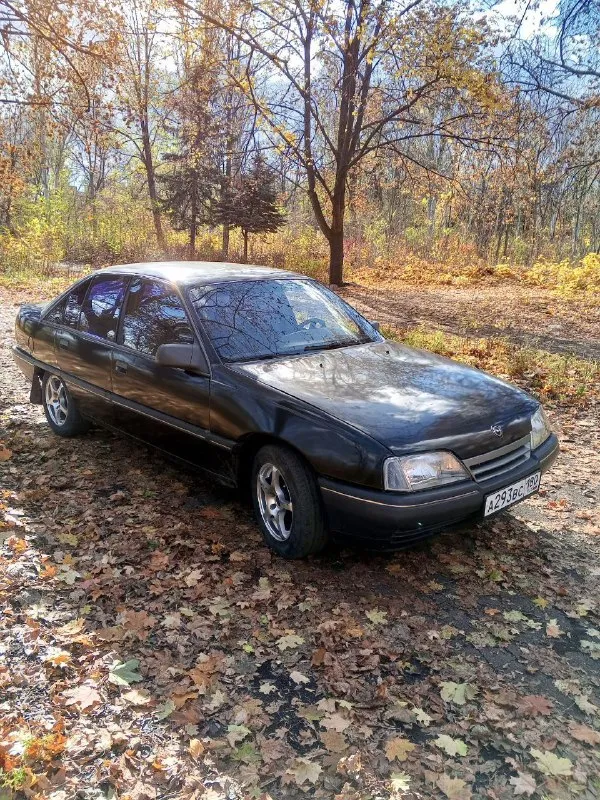 Продается opel omega a 2.0 задний привод, весь в родне. родной пробег 149000. цена 185 макеевка. +7949 535 14 13 📲 tg: @mir77755 📞 звоните: +7(949)5351413 - фотография - 2