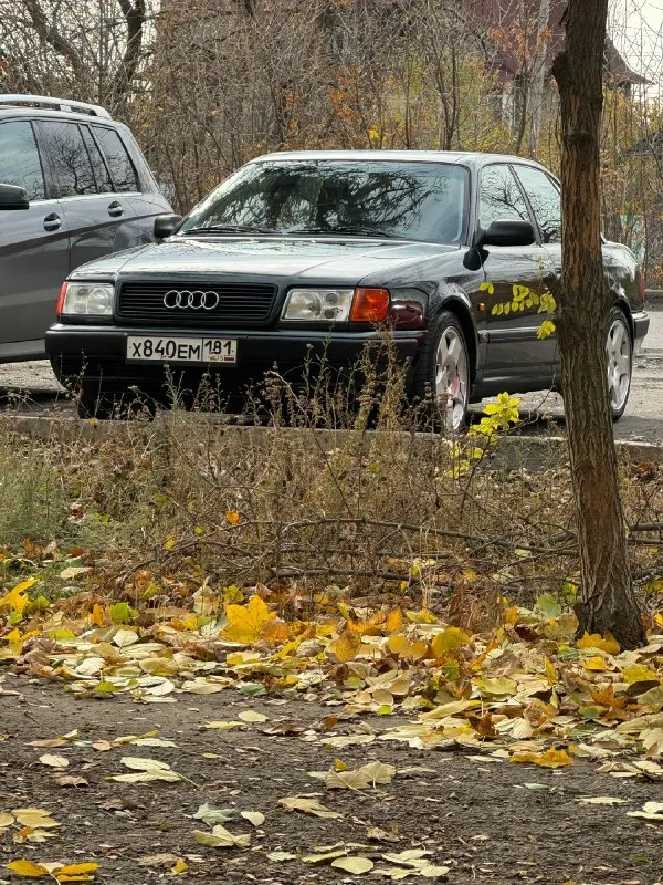 Продам audi 100c4 оцинкованный кузов без рыжиков на 2.3 моторе, 133 лошадиных силы линзовоная оптика от audi a7 в два ряда два комплекта оригинальных дисков audi r17 резина лето зима приятный ухоженный велюровый салон передние стеклоподъемники новая ходовка в круг машина дорогу чувствует уверено сел поехал довезет куда надо без каких-либо проблем по музыке по две пары двадцатых арнольдов спереди усилитель и саб цена : 620 000 торг у капота audi 100 c4 универсал кузов оцинкованный, присутствует рыжики по кузову 2.3 мотор, мотор коробка без нареканий проблема с коеджитроником заводится но не едет, надо менять либо на карбюратор или на инжектор новая ходовка в круг и тормоза ￼ цена: 150 000 реальный торг у капота номер для связи: +7 990 194 11 81 оба автомобиля стоят на учёте на мне собственник￼ ￼ 📞 звоните: +7(990)1941181 - фотография - 6