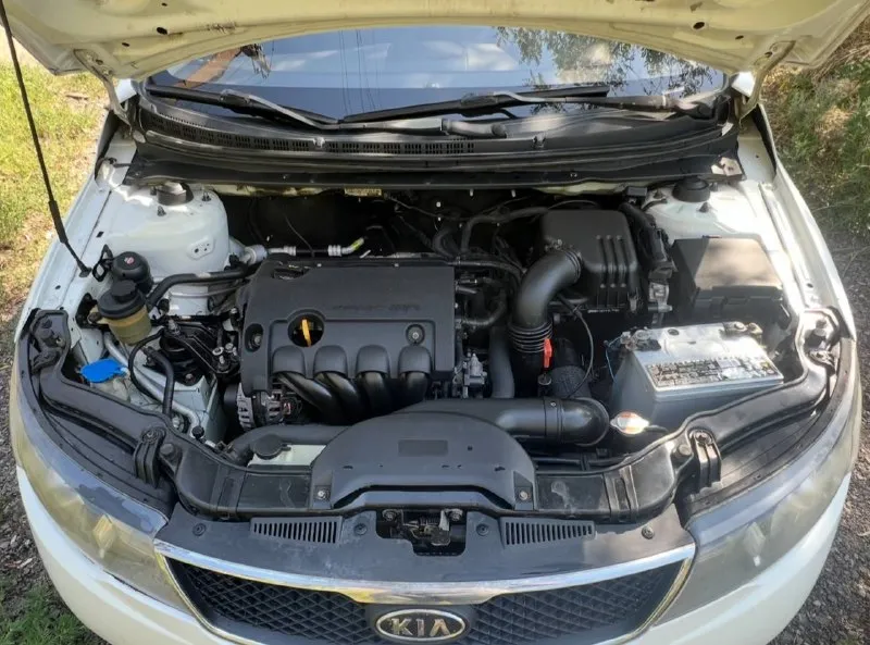 Продам kia cerato 2( kia церато), 1.6 ат 2009 г. В.
Двигатель работает отлично, коробка автомат работает отменно не пинается не тупит, передачи переключает не заметно. Кузов в хорошем состоянии гнили ржавчины нет. Отличная комплектация: сигнализация с обратной связью, климат-контроль ( всё греет холодит), гур, airbag, обогрев лобового стекла, заднего, электро зеркала, обогрев зеркал, подогрев сидений, датчик света, мультимедиа usb, aux, камера заднего вида. Автомобиль на новой зимней резине. Все остальные вопросы по телефону. Цена 670 тыс. Рублей. Быстрым будет небольшой торг у капота! Для переоформления поеду с вами в мрео.
Г. Горловка +79495625234 мобильный, telegram, whatsapp. Звонить можно в любое время.
📲 Tg: денис
📞 Звоните: +7(949)5625234 - фотография - 9