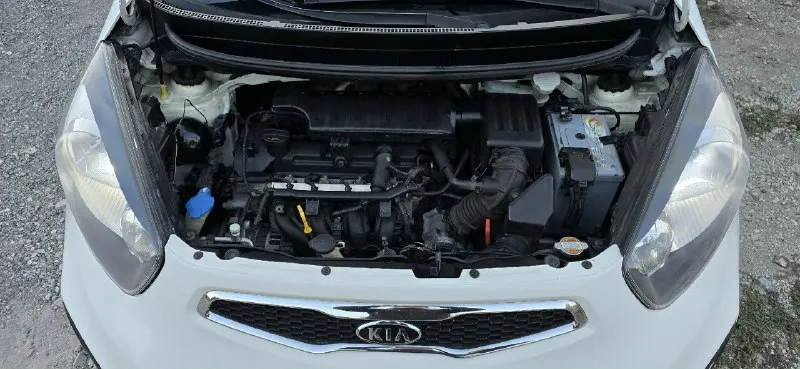 Kia пиканто.1.2 мотор, автомат, подогрев руля/сидений, кондиционер, электропакет фул, камера заднего вида, встроенный регистратор, парктроник. +зимний комплект резины на дисках. Расход: трасса- 4.5л, смешанный - 5.3л, город- 6.5л на 100км. Сиденья в чехлах, под чехлами как новая. Очень удобная машина, габариты позволяют не беспокоится при парковке и маневрировании во дворах где много машин, так же на плотных стоянках. Не один седан и даже полноразмерных хетчбэк ей не конкурент в этом плане. Донецк. Владелец +79493280125 750т. Р.
📞 Звоните: +7(949)3280125 - фотография - 6