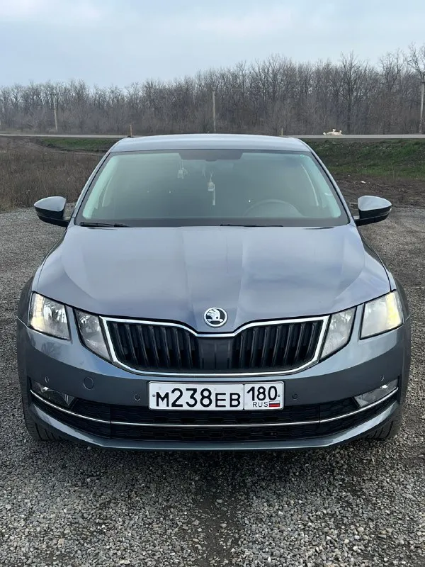 В продаже skoda octavia a7 2019 год пробег-53.000 км. любые проверки ! -1.4 tsi коробка-механика ком... - фотография
