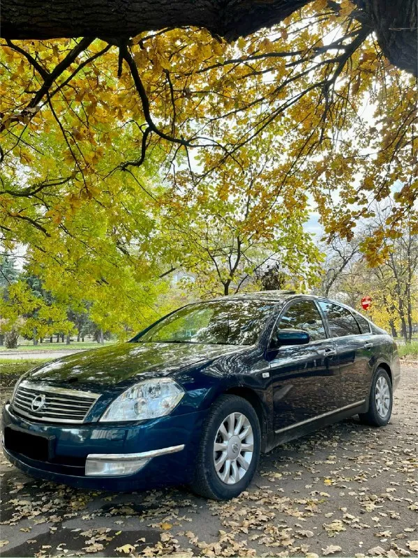 Продам teana 2.4 автомат, 2007 год по кузову на отлично, не гнилой двигатель масло не ест, акпп без... - фотография