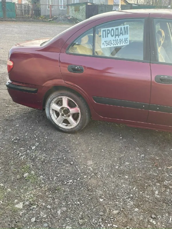 Продам nissan альмера 2001г. машина в нормальном состоянии едит хорошо поварина подкрашена готова к труду, вложений не требует. 250₽ быстрым хороший торг. резина зимняя новая +79493309195 📞 звоните: +7(949)3309195 - фотография - 2