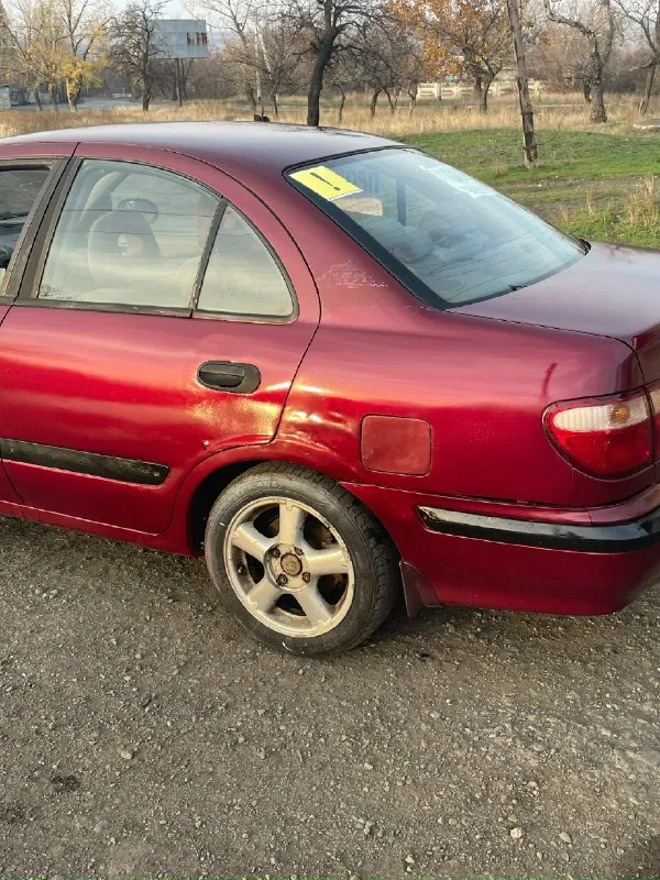 Продам nissan альмера 2001г. машина в нормальном состоянии едит хорошо поварина подкрашена готова к труду, вложений не требует. 250₽ быстрым хороший торг. резина зимняя новая +79493309195 📞 звоните: +7(949)3309195 - фотография - 3