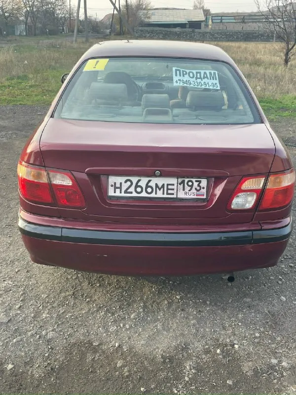 Продам nissan альмера 2001г. машина в нормальном состоянии едит хорошо поварина подкрашена готова к труду, вложений не требует. 250₽ быстрым хороший торг. резина зимняя новая +79493309195 📞 звоните: +7(949)3309195 - фотография - 4