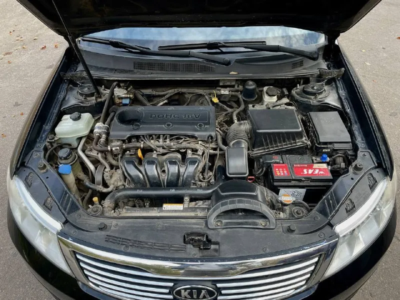 Kia magentis ii, рестайлинг, 2.0 л. Бензин, 164 л. С. Акпп, 2008 г. В.
Пробег 212 тыс. Км. , приобретался в автосалоне г. Донецка, я второй владелец с 2013 г.
Регистрация уже рф(фото сделано до, поэтому номера днр).
В дтп не участвовал, все стекла родные.
Своевременное обслуживание, вложений не требует, проводился качественный ремонт порогов, задних арок. Эксплуатировалась бережно, гаражное хранение, салон чистый ухоженный, доп. Шумовиброизоляция, увеличен клиренс, установлены проставки.
Двигатель без задиров, не дымит, катализатор на месте, не прошивалась. Установлено гбо евро-4, зарегистрировано.
Надежный 4 ст. Автомат, работает идеально.
Гур, электропакет, 4 эл. Стеклоподъемника, электропривод зеркал, климат контроль, мультируль, мультимедиа bluetooth usb aux, датчик света, сигнализация с автозапуском.
Заводские литые диски r16, включая запаску, два комплекта покрышек зима/лето, летние новые, зимние минимальный износ.
Просмотр г. Донецк, любые проверки на сто.
Цена 950 000 р.
+79498776094 - фотография - 7