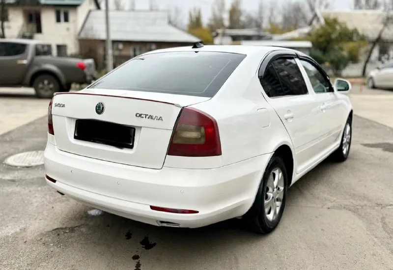 🔥🔥🔥🧨🧨🧨🔥🔥🔥 *цена.630.000рублей* такая цена только сегодня. skoda octavia a5 рейсталинг 2012г. 1.6 mpi механика. родной пробег 250тыс. км. 2хозяина. авто в очень хорошем состоянии вложений не требует не каких. кузов без гнили и ржавчины выглядит красиво как на фото так и в живую. работают отлично не дымит не троит тянет хорошо. самый лучший и надежный мотор в линейке. ходовая без посторонних звуков все в полном порядке. коробка отлично работает. масла фильтра только поменял ещо даже 100км не проехали. салон чистый. богатая комплектация. кондиционер, гур, датчики света и дождя, подогрев сидений и зеркал,4эл. стеклоподьмника, эл. зеркала, подушки безопасности, парк-троик. установлена магнитола на android системе. литые диски. лед фары в ближнем и туманках, тонеровка. в серьезных дтп не была. документы в полном порядке.2собственика, птс оригинал, любое переоформление хоть по дкп хоть через мрео. осмотр донецк +79498582203 он же и телеграмм 📲 tg: vvv 📞 звоните: +7(949)8582203 - фотография - 5