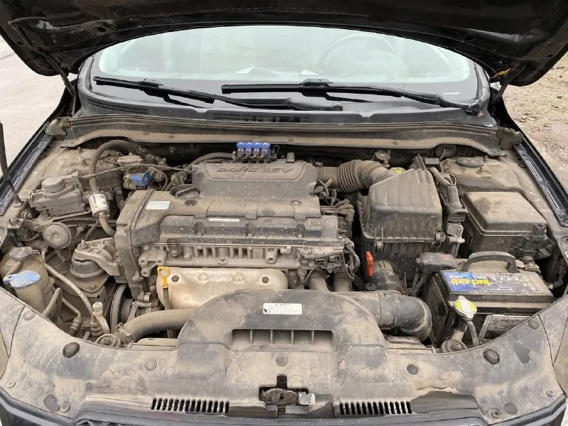Продам kia ceed 2008год мотор 2.0 газ/бензин коробка автомат(aisin), пробег 167 тысяч км (оригинальный) цена 730₽ автомобиль в полной комплектации,3 ключа и сервисная книжка
Сигнализация
Датчик дождя света
﻿﻿Подогрев сидений, руля
﻿﻿Парктроники
Климат контроль 2-х зонный
﻿﻿Музыка aux/cd/usb/
Один владелец, зеленая автотека без дтп и выплат, гаражное хранение, авто в хорошем обслуженном состоянии в коробке масло меняется каждые 30 тыс, всё имеется для комфотрной езды, покупкой будете довольны!! Двигатель коробка и ходовая часть без нареканий и без посторонних шумов все работает в штатном режиме так как и должно работать салон чистый не прокуренный, документы в порядке без штрафов запретов и каких либо ограничений переоформление в мрэо (могу присутствовать )все остальные вопросы по тел +79494936731, находиться в макеевке, торг уместен - фотография - 5