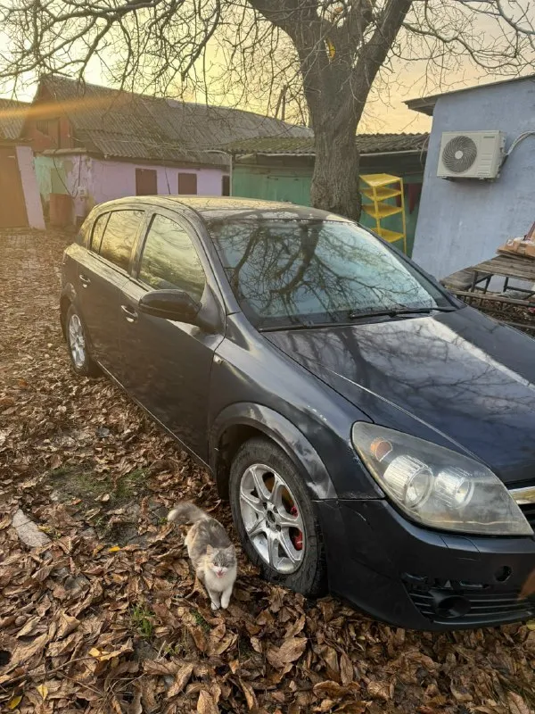 Opel astra h 2007 год, двигатель 1.4 после кап ремонта не дымит, масло не ест. кпп и гур работает хорошо, ходовая в норме, есть нюансы по кузову, на езду не влияют, документы в порядке, машина каждый день на ходу, цена 280 торг, дебальцево +79493762488 📲 tg: игорь клецов 📞 звоните: +7(949)3762488 - фотография - 3