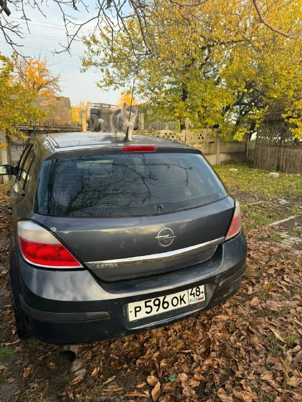 Opel astra h 2007 год, двигатель 1.4 после кап ремонта не дымит, масло не ест. кпп и гур работает хорошо, ходовая в норме, есть нюансы по кузову, на езду не влияют, документы в порядке, машина каждый день на ходу, цена 280 торг, дебальцево +79493762488 📲 tg: игорь клецов 📞 звоните: +7(949)3762488 - фотография - 4